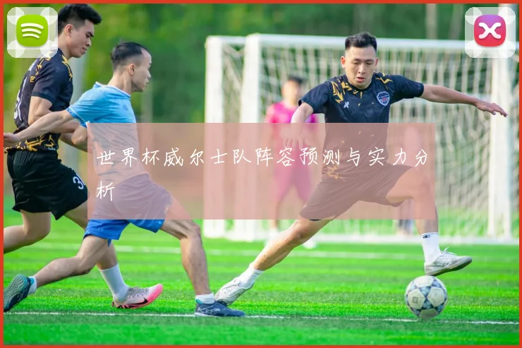 世界杯威尔士队阵容预测与实力分析